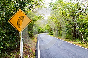 Signal turn right on country road, Traffic Signs