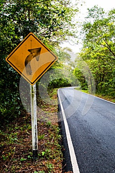 Signal turn right on country road, Traffic Signs