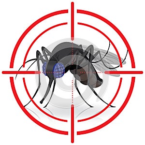 Signaling, side black fly with crosshairs. mira signal photo