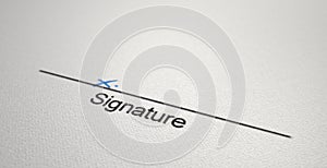 Signature Area X photo