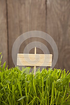Signboard on Grass background of wood planks, Fresh green lawn near rustic grunge fence