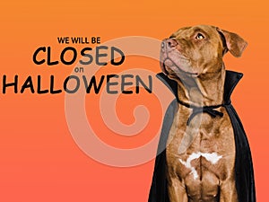 Signboard with the inscription We will be closed on Halloween