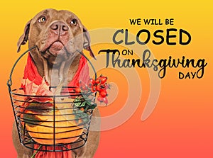 Signboard with the inscription We will be closed on Thanksgiving