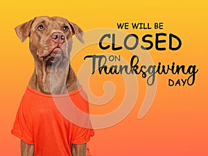 Signboard with the inscription We will be closed on Thanksgiving
