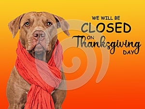 Signboard with the inscription We will be closed on Thanksgiving