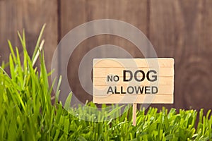 Signboard no dog allowed on Grass background of wood planks,
