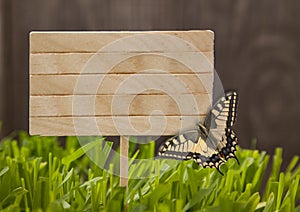 Signboard Spring on Grass background of wood planks, with butterfly Fresh green lawn near rustic grunge fence