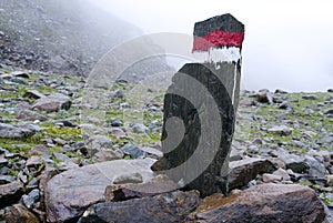 Signpost Alps Austria Fog
