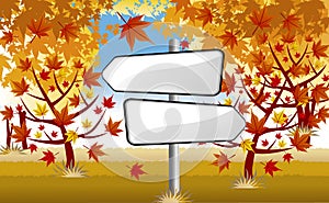 Signpost in autumn forest