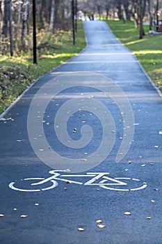 A signpost or bicycle road sign painted on the asphalt in a city park.