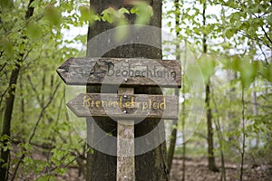 Signpost in the forest for observations