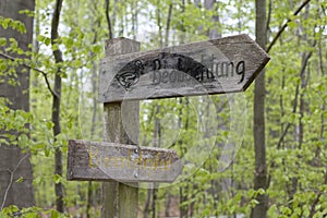 Signpost in the forest for observations
