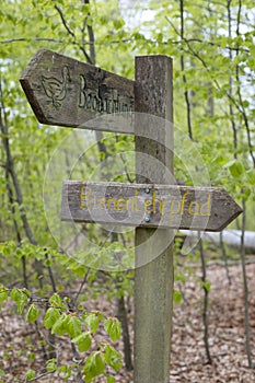 Signpost in the forest for observations