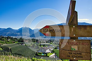 Signpost of 'Mitterplatt-weg' in a lush, green countryside with a vineyard and mountainous backdrop