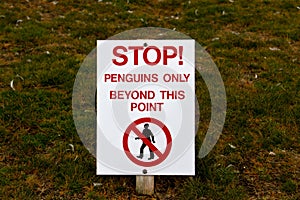 Signpost Penguins onli