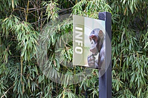 Signpost to the apes