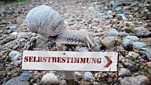 Signposts the direct way to self-determination