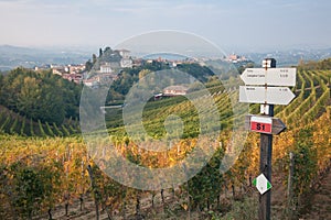Signposts, Le Langhe, Italy photo