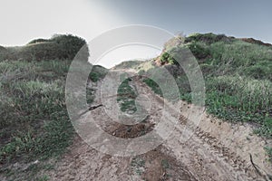 Signs of ATV tires on dirt road in Palmahim Reserve,