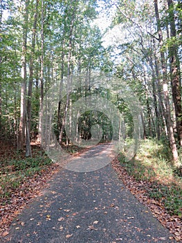 Signs of Fall on the Woodland Hike