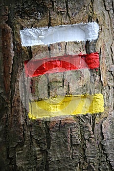 Signs painted on a trunk marking the hiking trails