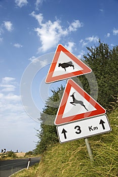 Signs on a Rural Road in Italy