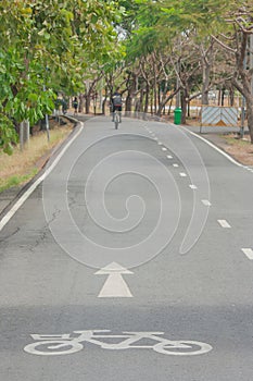 Signs and symbols of bicycle on bicycle lane.