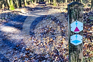 Signs on wooden post for two hiking trails, one red and one blue