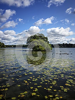 Sigtuna lake in sweden