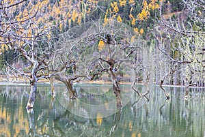 Siguniangshan National Park in Sichuan, China