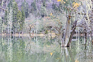 Siguniangshan National Park in Sichuan, China