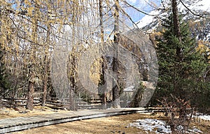 Siguniangshan National Park in Sichuan, China