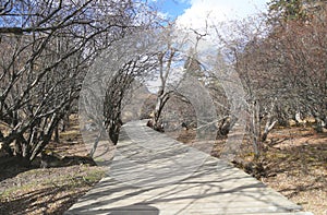 Siguniangshan National Park in Sichuan, China