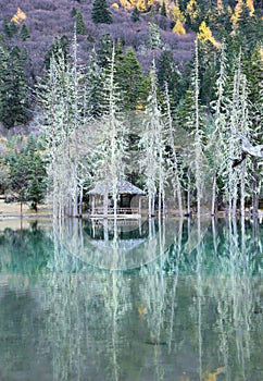 Siguniangshan National Park in Sichuan, China