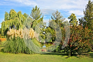 Sigurta fabulously beautiful park in northern Italy photo