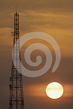 Sihouette of telecommunication pole or satellite radio station tower