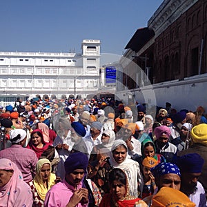 Sikh pilgrims in the golden temple, amritsar, india