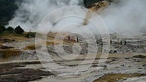 Sikidang Crater at Dieng Plateau, Java, Indonesia