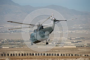Sikorsky S-61L photo