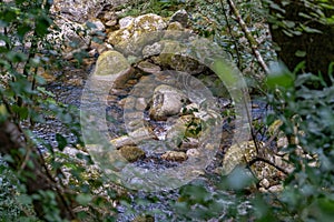 Sil river canyon in Ribeira Sacra,  Pasarela del Mao viewpoint photo