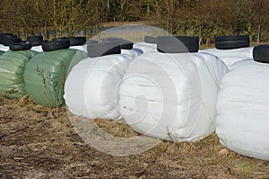 Silage bales