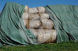 Silage Bales