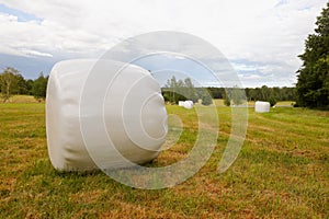 Silage bales