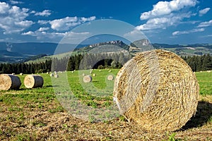 Silage in the meadow