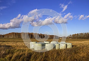 Silages on a field.