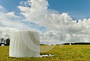 Silages on the meadow.