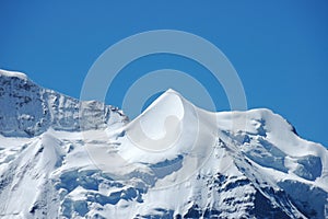 Silberhorn