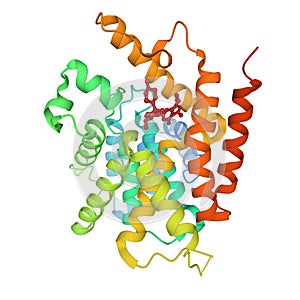 Catalytic domain of human phosphodiesterase 4B in complex with sildenafil photo