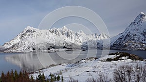 Sildpollen bay in Austnesfjorden in the Lofoten in winter in Norway