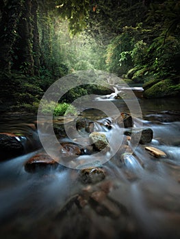 The Silence river side